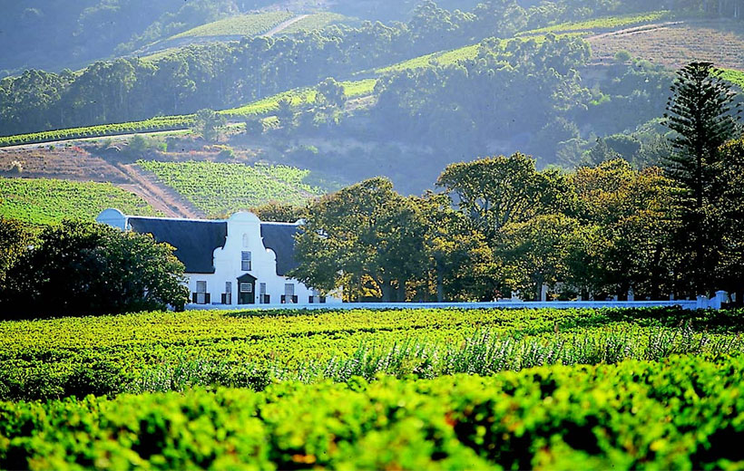 Explore Stellenbosch, Paarl, and Franschhoek on a Cape Wine Route Wine Tasting Tour